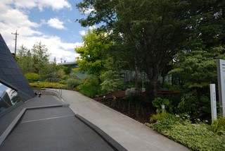 DSC_0007150.jpg