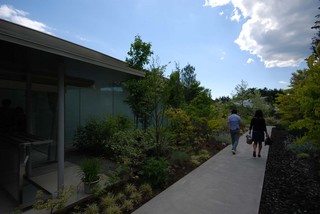 DSC_0013150.jpg