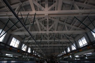 DSC_0016150.jpg