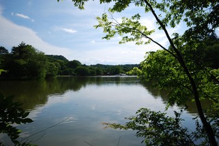 DSC_0021150.jpg